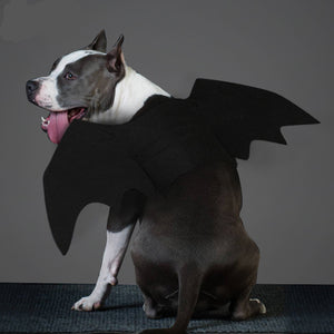 Alas de murciélago vampiro para mascotas, chica, mediana, grande